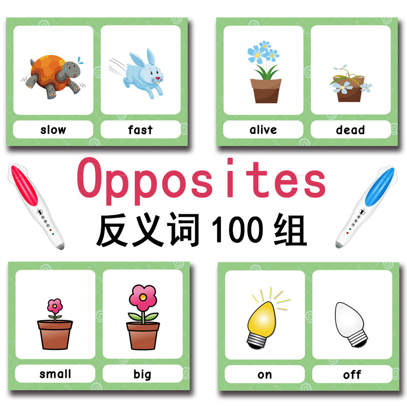 แฟลชการ์ดคำศัพท์ภาษาอังกฤษ 100 - Baby Products China บทวิจารณ์และราคา